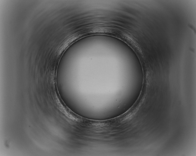 X0000099941033200806061513