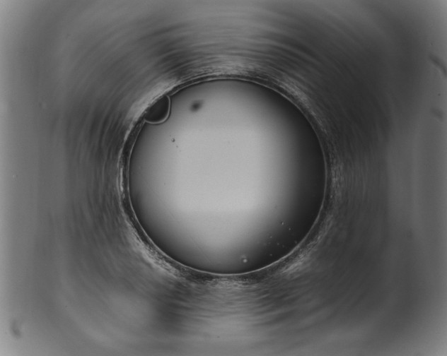 X0000099941034200806061513