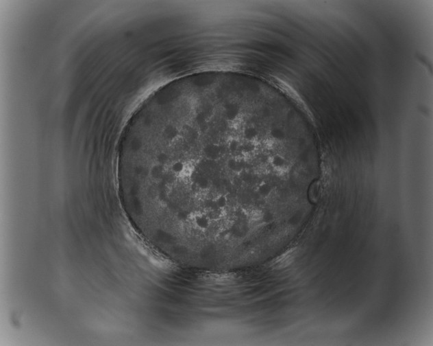 X0000099941035200806061513