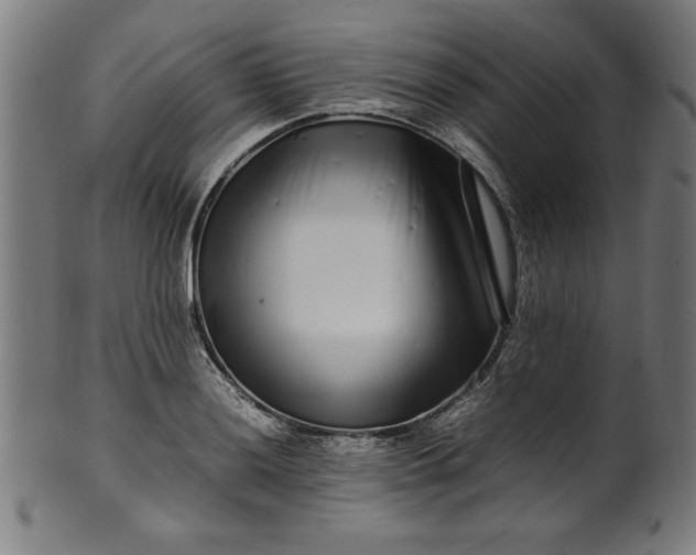 X0000099941036200806061513
