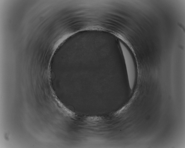 X0000099941037200806061513