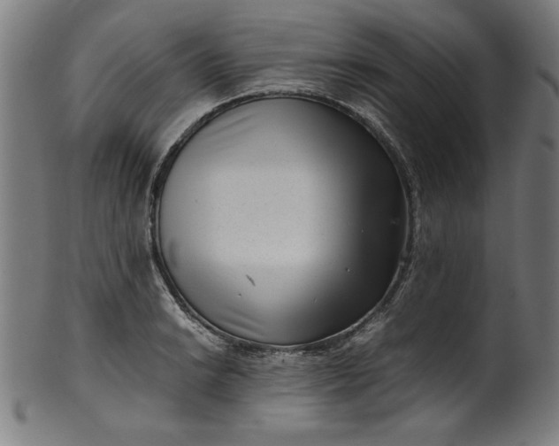 X0000099941038200806061513