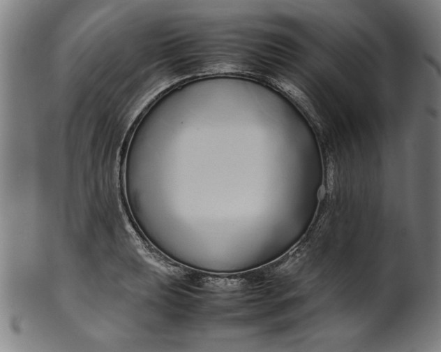 X0000099941039200806061513