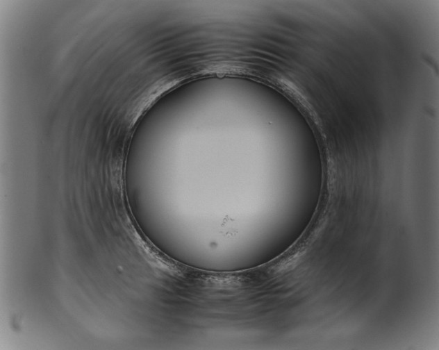 X0000099941041200806061513