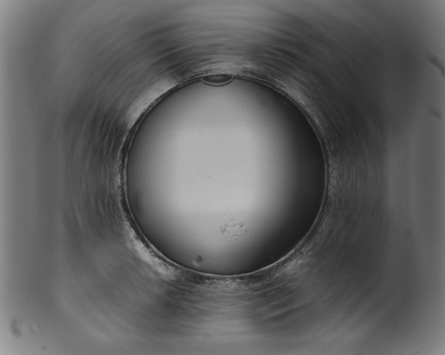 X0000099941042200806061513