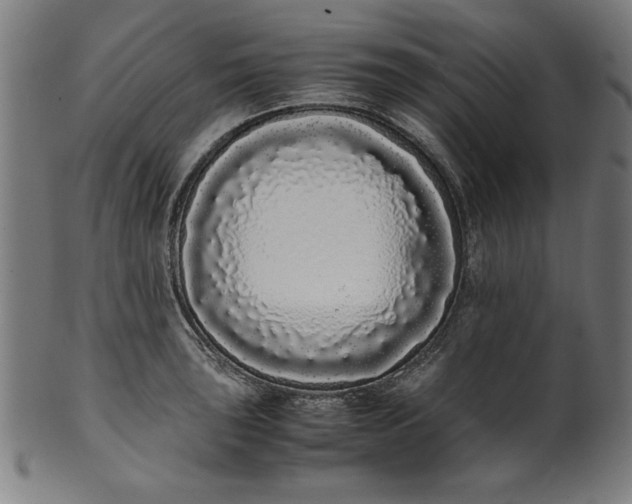 X0000099941043200806061513