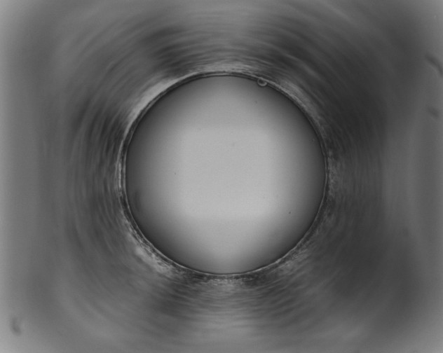 X0000099941044200806061513