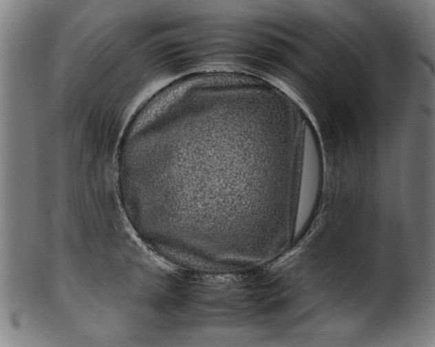 X0000099941045200806061513