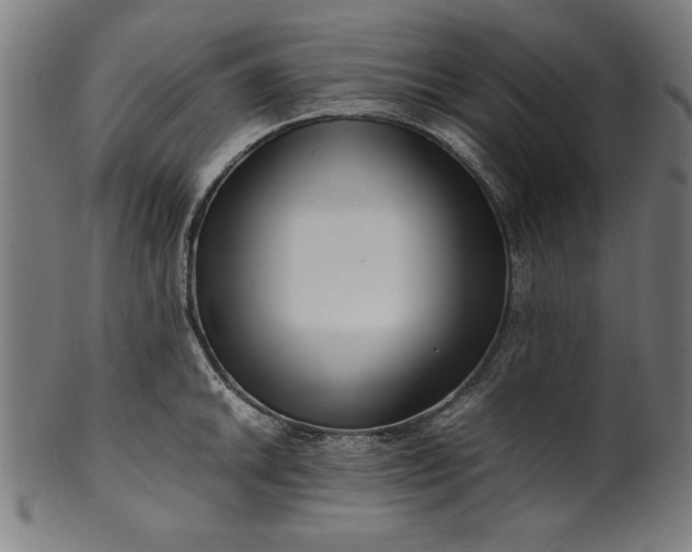 X0000099941046200806061513