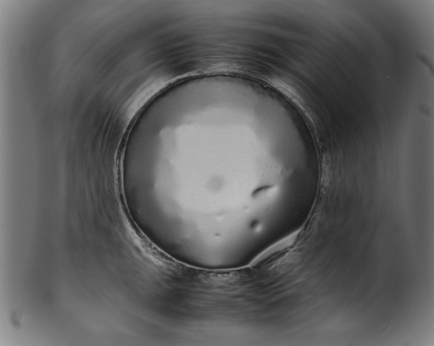 X0000099941047200806061513