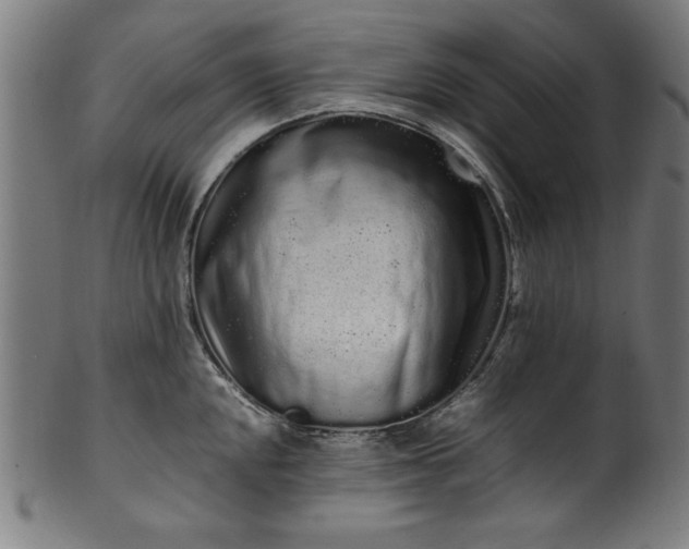 X0000099941048200806061513