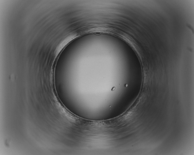 X0000099941050200806061513