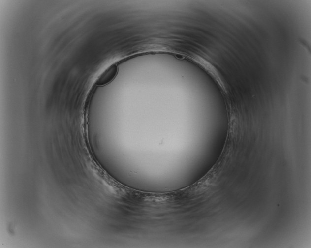 X0000099941051200806061513