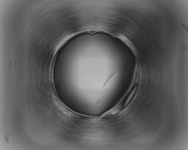 X0000099941052200806061514