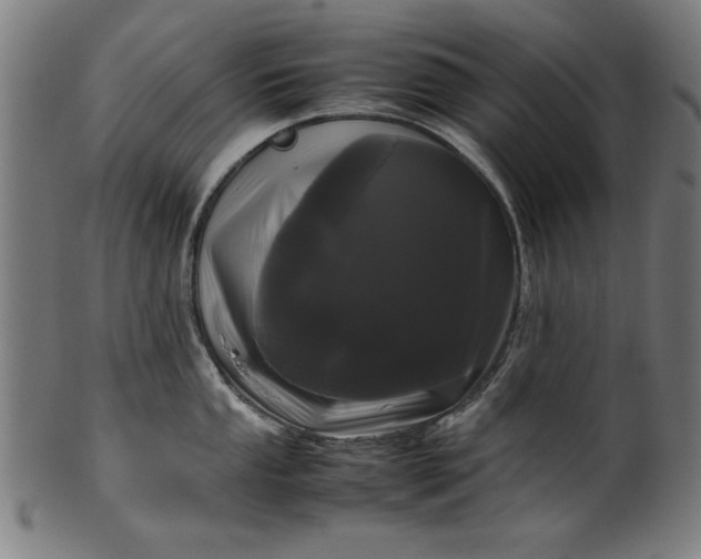 X0000099941053200806061514