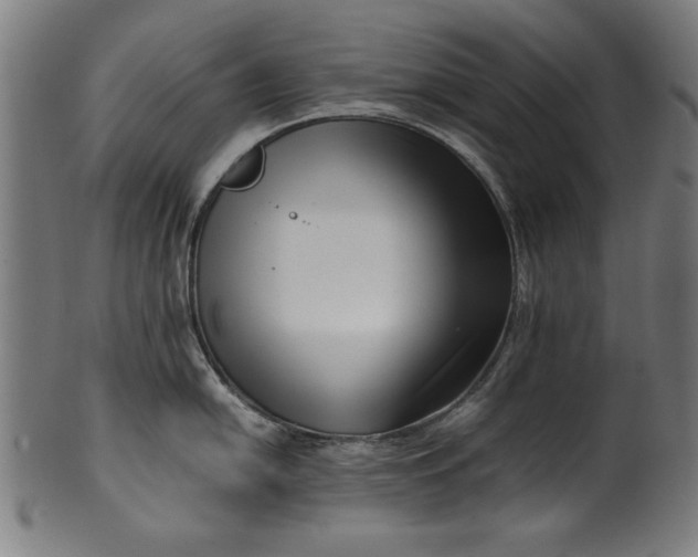 X0000099941054200806061514