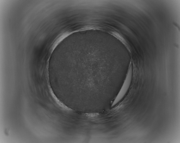 X0000099941055200806061514
