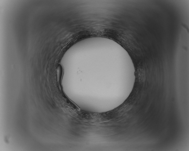 X0000099941057200806061513