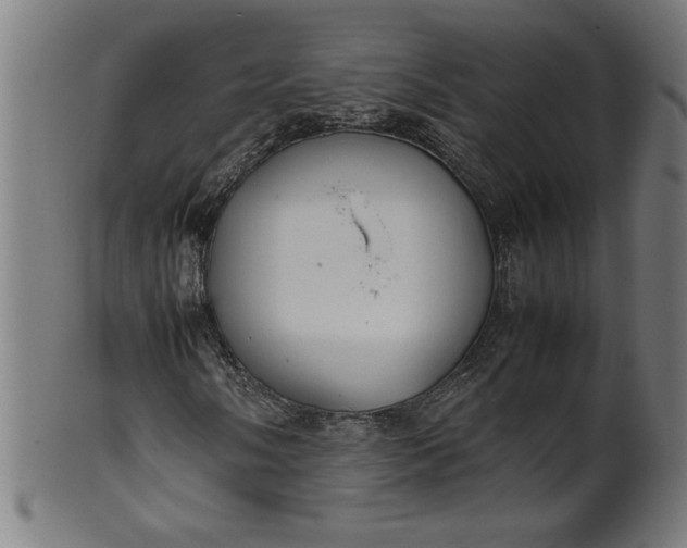 X0000099941058200806061513