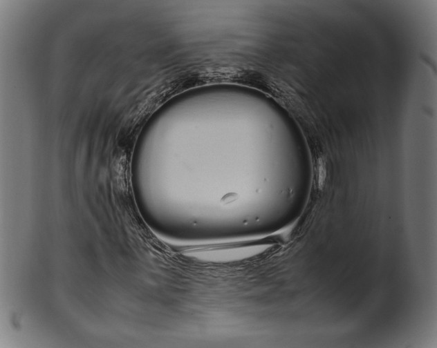 X0000099941059200806061513