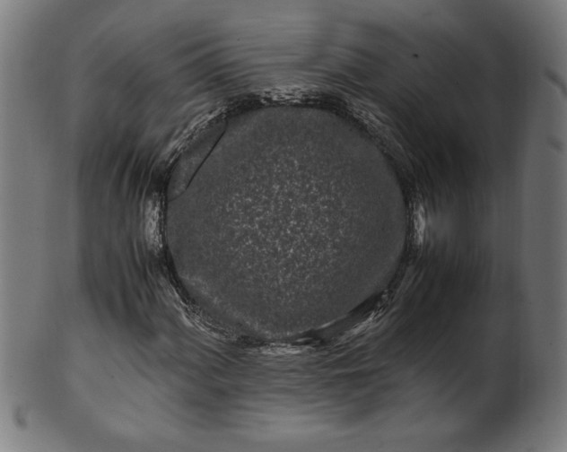 X0000099941060200806061513