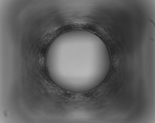 X0000099941061200806061513