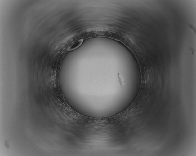 X0000099941062200806061513