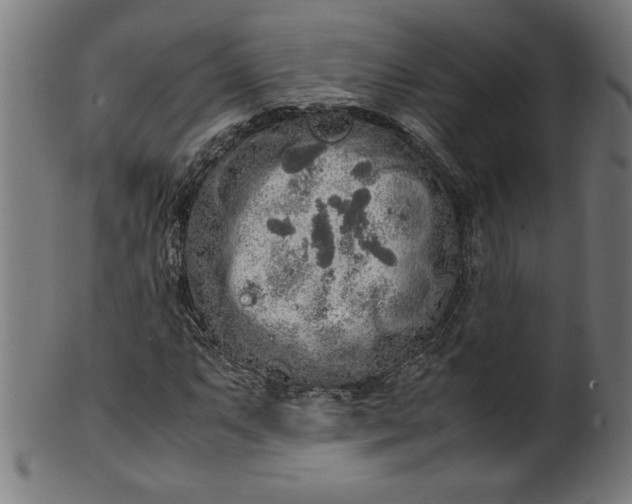 X0000099941063200806061513