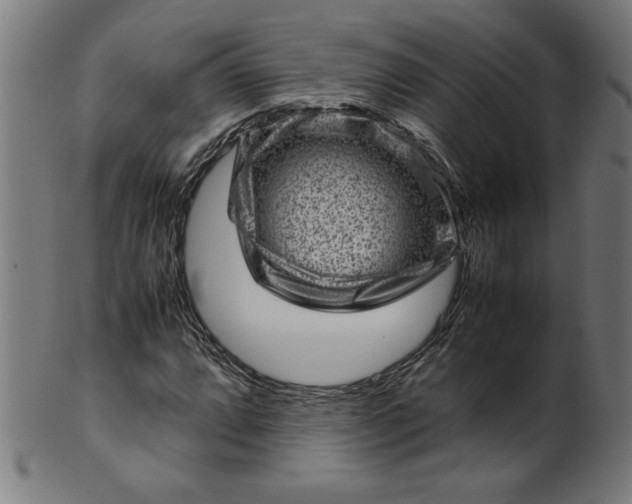 X0000099941064200806061513