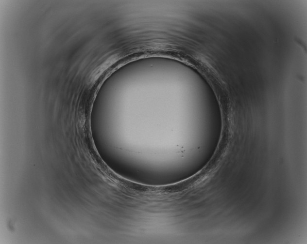 X0000099941065200806061513