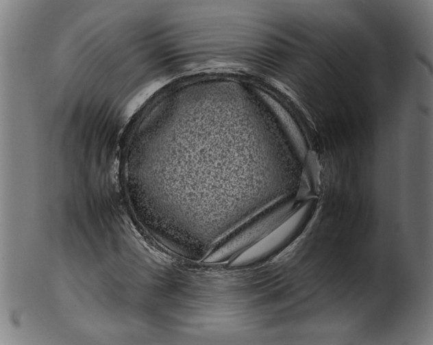 X0000099941066200806061513