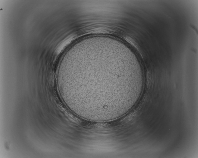X0000099941067200806061513