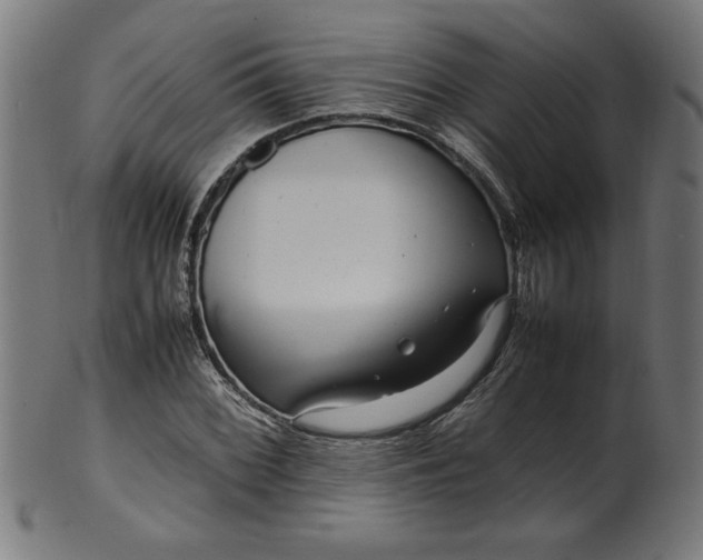X0000099941068200806061513