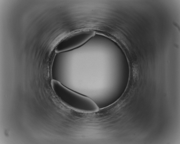 X0000099941069200806061513
