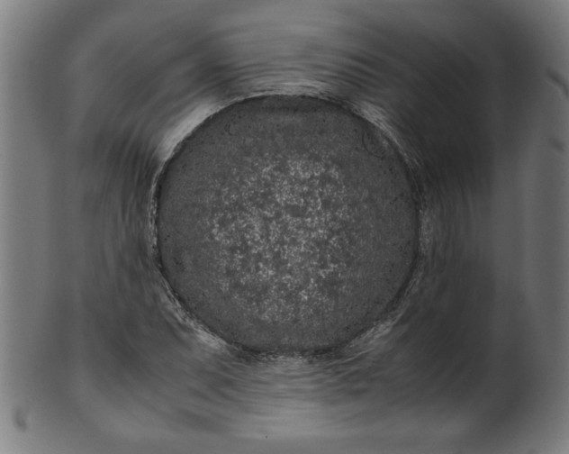 X0000099941071200806061513