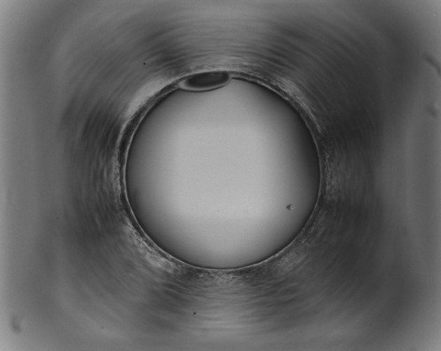 X0000099941072200806061512