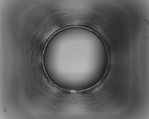 X0000099941073200806061512