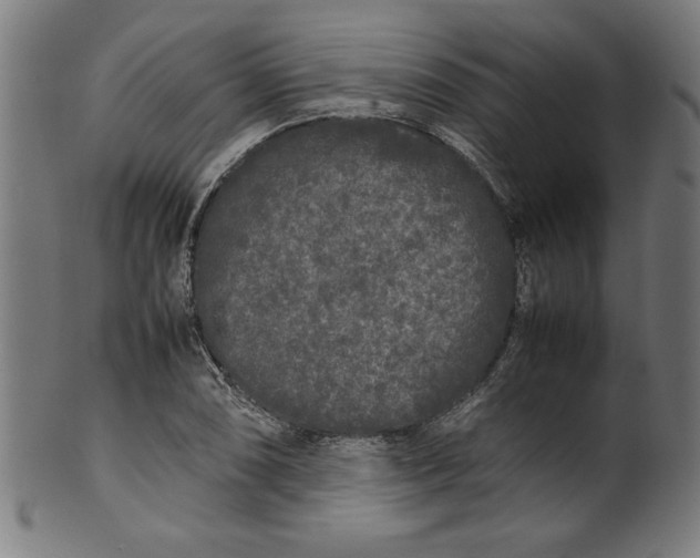 X0000099941074200806061512