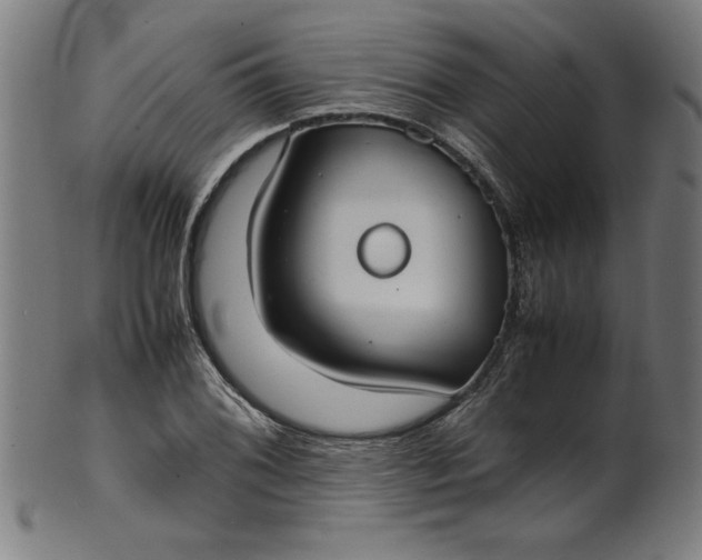 X0000099941076200806061512