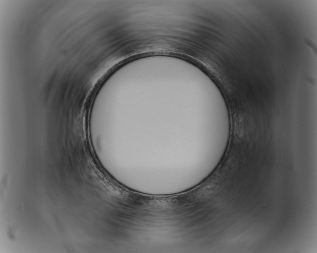 X0000099941078200806061512
