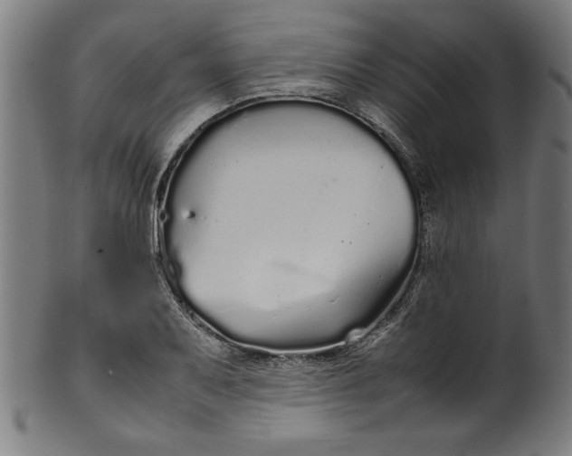 X0000099941079200806061512