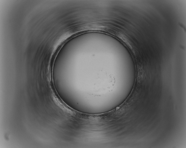 X0000099941080200806061512