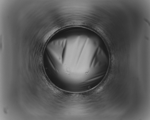 X0000099941081200806061512