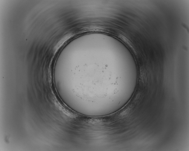 X0000099941082200806061512