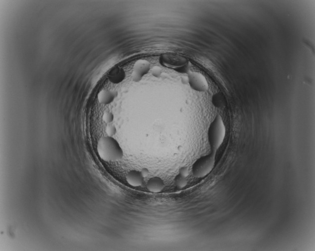 X0000099941083200806061512