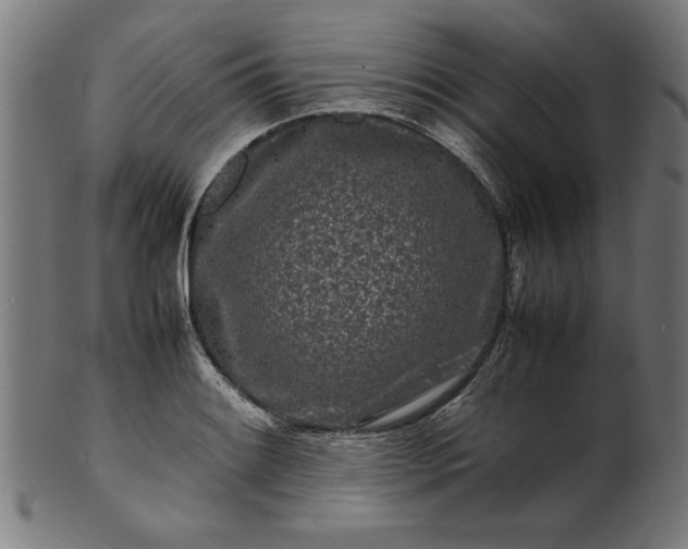 X0000099941084200806061512