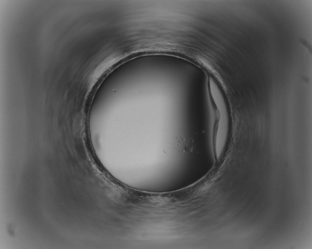 X0000099941085200806061512