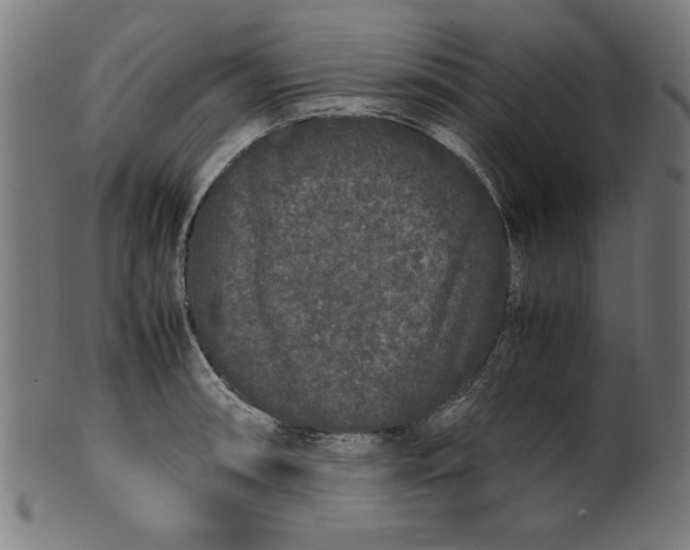 X0000099941090200806061512