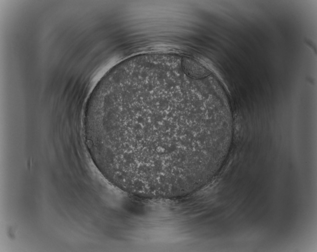 X0000099941091200806061512