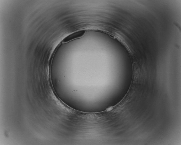 X0000099941092200806061512